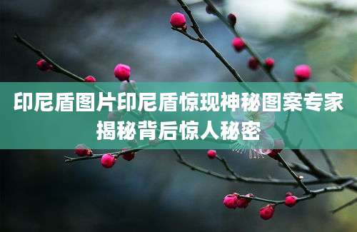印尼盾图片印尼盾惊现神秘图案专家揭秘背后惊人秘密