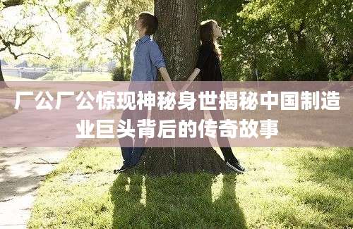 厂公厂公惊现神秘身世揭秘中国制造业巨头背后的传奇故事