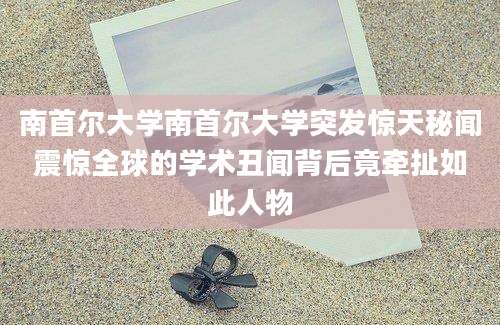 南首尔大学南首尔大学突发惊天秘闻震惊全球的学术丑闻背后竟牵扯如此人物