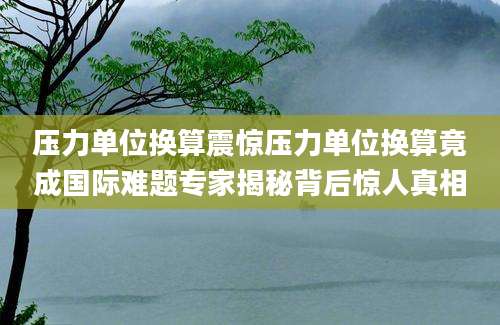 压力单位换算震惊压力单位换算竟成国际难题专家揭秘背后惊人真相