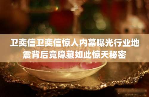 卫奕信卫奕信惊人内幕曝光行业地震背后竟隐藏如此惊天秘密