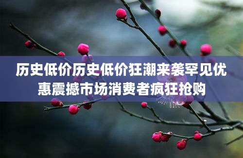历史低价历史低价狂潮来袭罕见优惠震撼市场消费者疯狂抢购