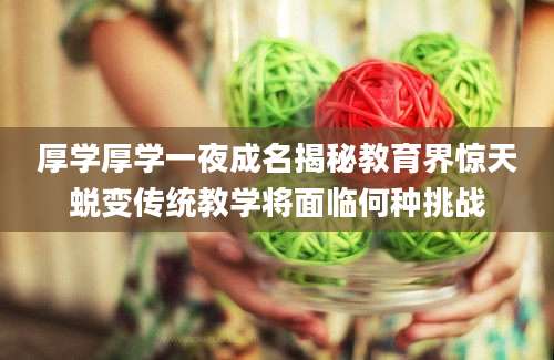 厚学厚学一夜成名揭秘教育界惊天蜕变传统教学将面临何种挑战