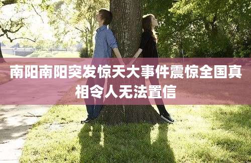 南阳南阳突发惊天大事件震惊全国真相令人无法置信