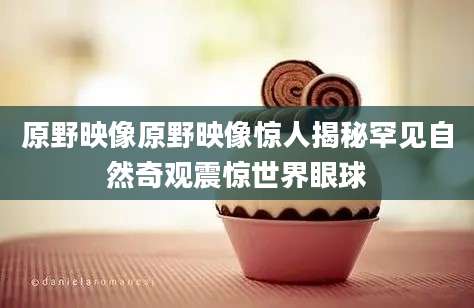 原野映像原野映像惊人揭秘罕见自然奇观震惊世界眼球
