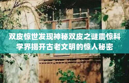 双皮惊世发现神秘双皮之谜震惊科学界揭开古老文明的惊人秘密