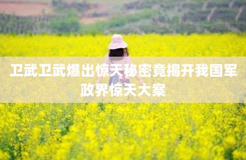 卫武卫武爆出惊天秘密竟揭开我国军政界惊天大案