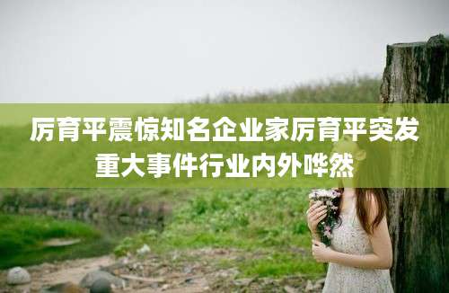厉育平震惊知名企业家厉育平突发重大事件行业内外哗然