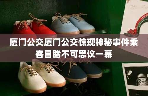 厦门公交厦门公交惊现神秘事件乘客目睹不可思议一幕