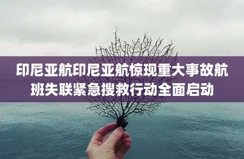 印尼亚航印尼亚航惊现重大事故航班失联紧急搜救行动全面启动