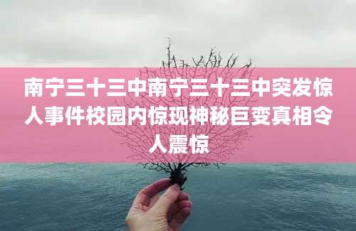南宁三十三中南宁三十三中突发惊人事件校园内惊现神秘巨变真相令人震惊