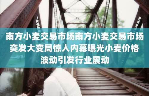 南方小麦交易市场南方小麦交易市场突发大变局惊人内幕曝光小麦价格波动引发行业震动
