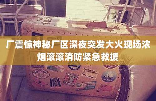 厂震惊神秘厂区深夜突发大火现场浓烟滚滚消防紧急救援