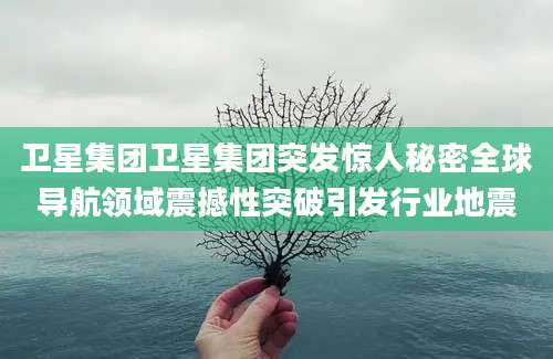 卫星集团卫星集团突发惊人秘密全球导航领域震撼性突破引发行业地震