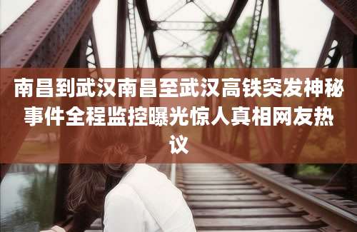 南昌到武汉南昌至武汉高铁突发神秘事件全程监控曝光惊人真相网友热议