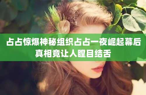 占占惊爆神秘组织占占一夜崛起幕后真相竟让人瞠目结舌