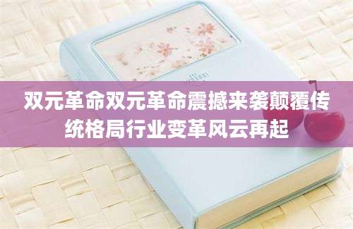 双元革命双元革命震撼来袭颠覆传统格局行业变革风云再起