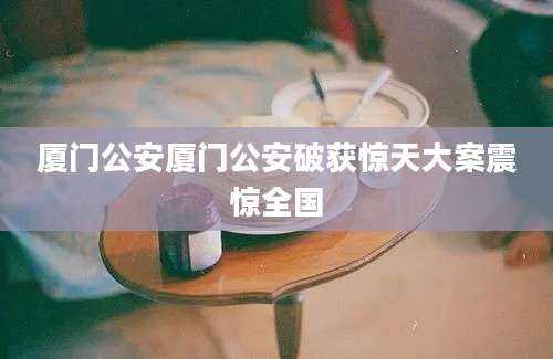 厦门公安厦门公安破获惊天大案震惊全国
