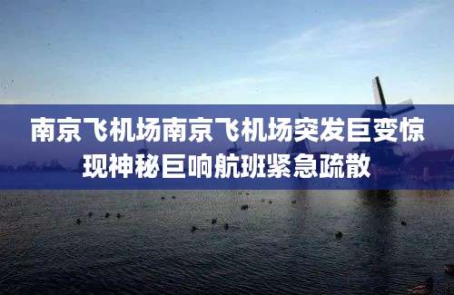 南京飞机场南京飞机场突发巨变惊现神秘巨响航班紧急疏散