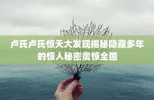 卢氏卢氏惊天大发现揭秘隐藏多年的惊人秘密震惊全国