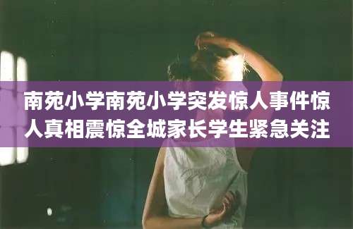 南苑小学南苑小学突发惊人事件惊人真相震惊全城家长学生紧急关注