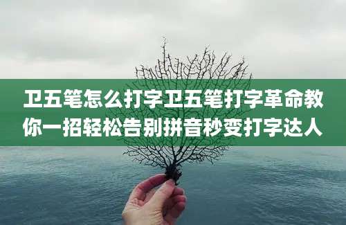 卫五笔怎么打字卫五笔打字革命教你一招轻松告别拼音秒变打字达人