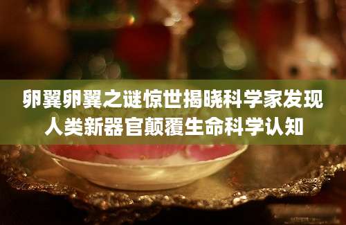 卵翼卵翼之谜惊世揭晓科学家发现人类新器官颠覆生命科学认知