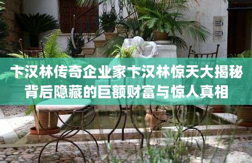 卞汉林传奇企业家卞汉林惊天大揭秘背后隐藏的巨额财富与惊人真相