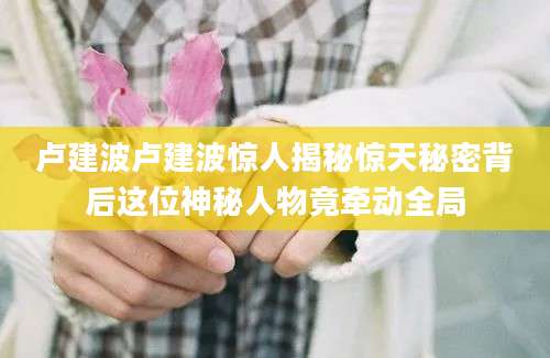 卢建波卢建波惊人揭秘惊天秘密背后这位神秘人物竟牵动全局