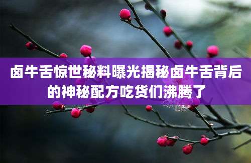 卤牛舌惊世秘料曝光揭秘卤牛舌背后的神秘配方吃货们沸腾了